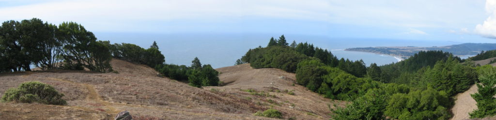 Stinson Beach from the top of Mt Tam